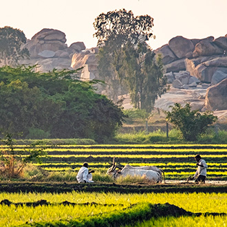 HAMPI | INDIA