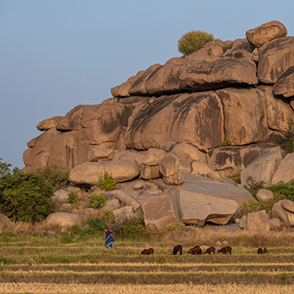 HAMPI | INDIA
