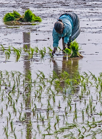 HAMPI | INDIA