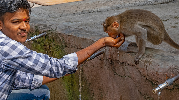 HAMPI | INDIA