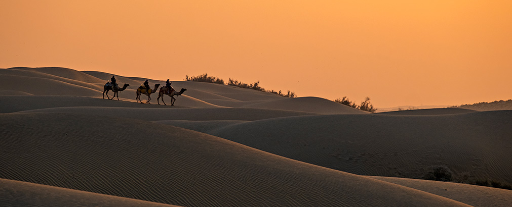THAR DESERT | INDIA