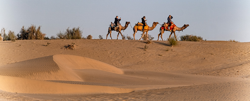 THAR DESERT | INDIA
