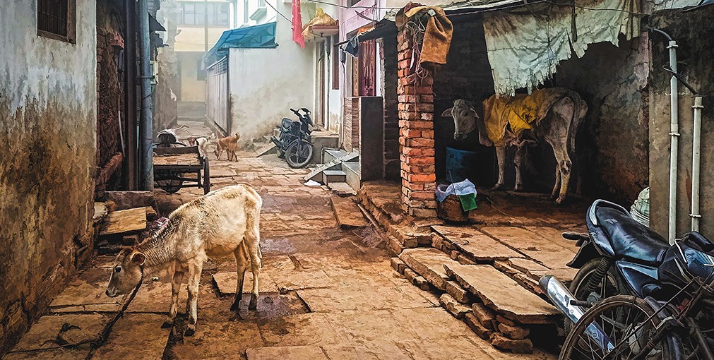 VARANASI | INDIA
