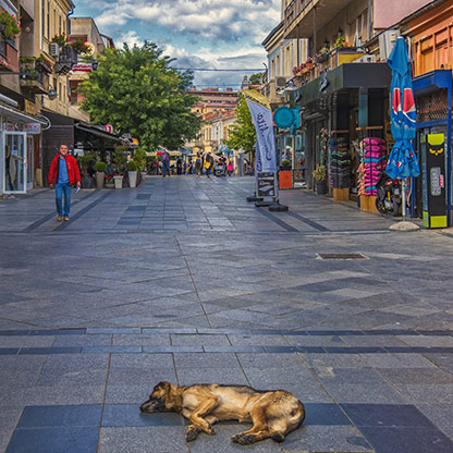 BITOLA | MACEDONIA