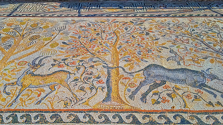 HERCULES | MACEDONIA