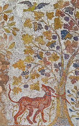 HERCULES | MACEDONIA