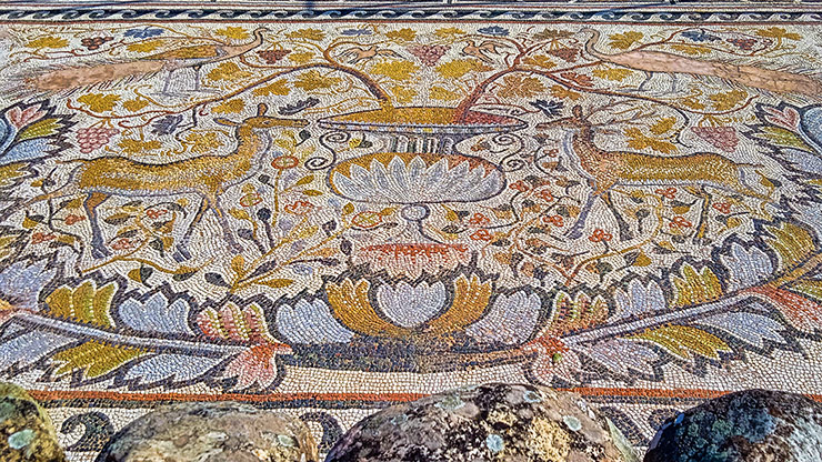 HERCULES | MACEDONIA