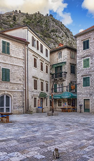 MONTENEGRO CATS | KOTOR