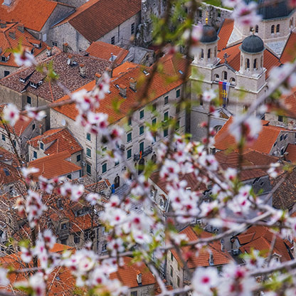 MONTENEGRO KOTOR | MONTENEGRO
