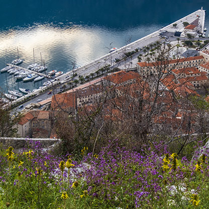 MONTENEGRO KOTOR / MONTENEGRO