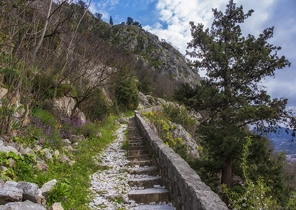 MONTENEGRO SAN GIOVANNI / KOTOR / MONTENEGRO