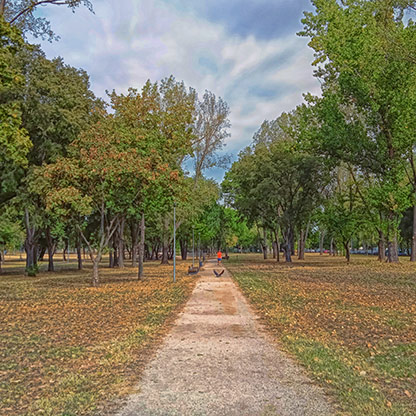 SERBIA BELGRADE | SERBIA