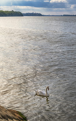 SERBIA BELGRADE | SERBIA