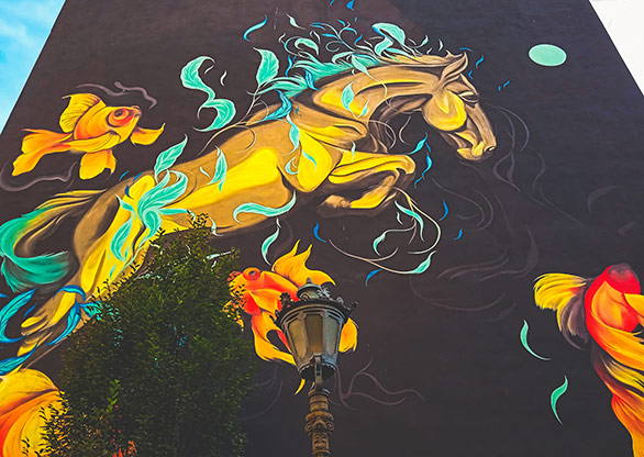 SERBIA NOVI SAD | SERBIA