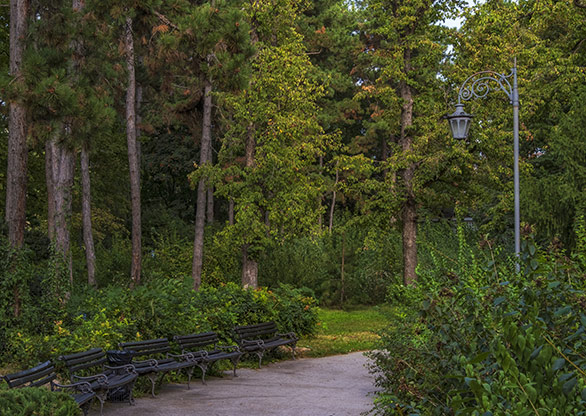 SERBIA NOVI SAD | SERBIA