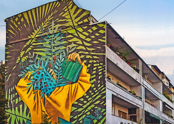 SERBIA NOVI SAD | SERBIA