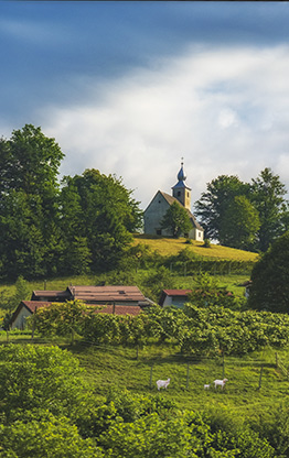 COUNTRYSIDE | SLOVENIA